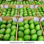 国产高清一级夜夜爽 934uuqfz