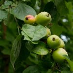 亚洲第一天堂无码专区 stv60smaa