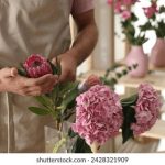 台北娜娜在线观看吃瓜:揭秘最新娱乐八卦与明星动态! 6539t5do