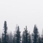 如何优化油管主页以吸引更多观众和订阅者 hk9n2y5p