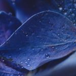 如何选择最佳域名购买网站,轻松注册你的理想域名 m6rp9