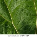 全面解析导航导航技术在现代生活中的应用与发展 yfgikc8ud2