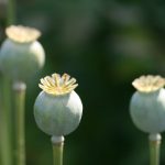 探索JKO:揭示其在现代科技中的应用与影响 dy7aqxo00a